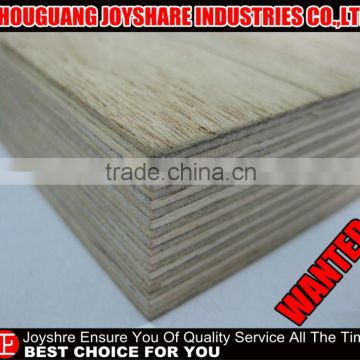 High quality shipping container plywood for flooring