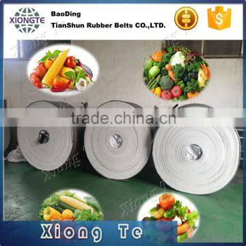 Good elasticity High abrasion China gold supplier Fruit Conveyor Belt