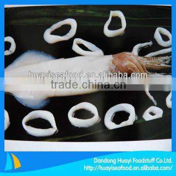 frozen fresh squid wholesale squid