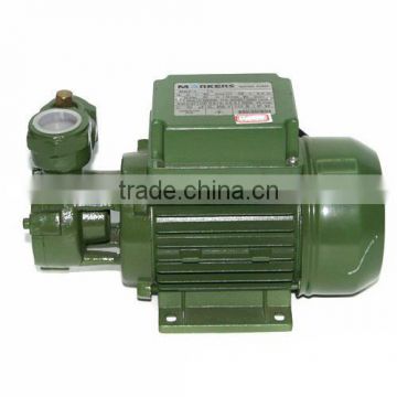 Centrifugal Electric Water Pump For Garden/High-rise Flats