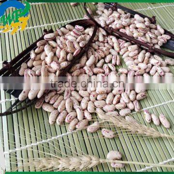 Chinese Light Speckled Kidney Beans for Europ photo-2