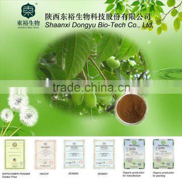 Olive Leaf Extract