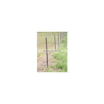 Cattle Sheep Annimal Fence/field Fence (manufacture)