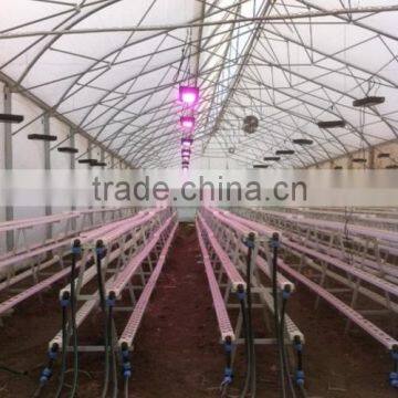 90Watt Newest Dimmable and Programmable Led Dimmable Grow Lights Best for Grow House photo-5