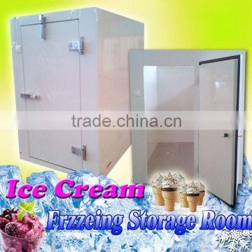 Walk in freezer for ice cream store