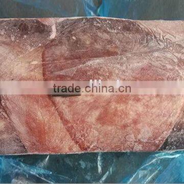 fresh frozen giant squid wing for sale