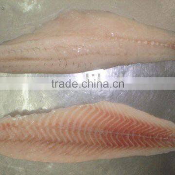 Frozen Seabass Fillet
