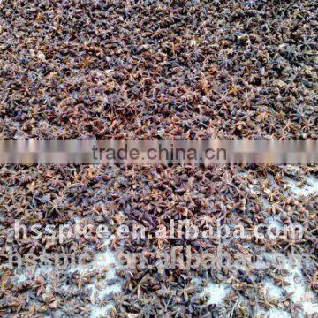 Guangxi ,China Dry Star Aniseeds Without Stem