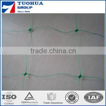 Cucumber Plant Climbing Support Net