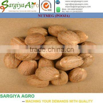 Nutmeg Whole l High Quality photo-2