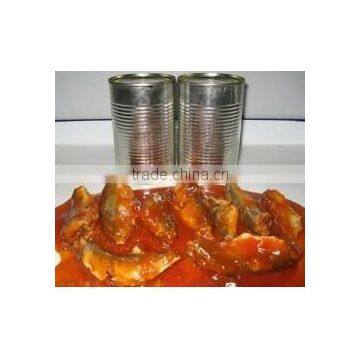 Canned sardinge/ pilchard in tomato sauce