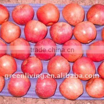 fresh qinguan apple(chinese delicious juice)