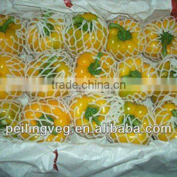 Own Farmland Fresh Yellow Bell Pepper 2013