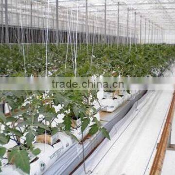 Coco peat Grow Bags in Pallet Pack