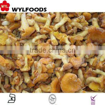 China mushroom frozen chanterelles mushroom brands