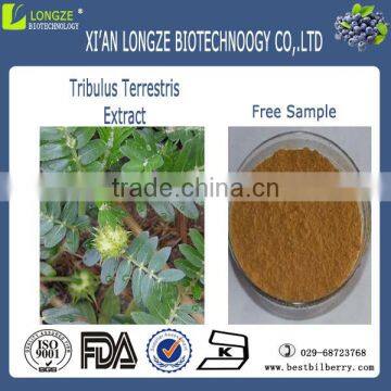 free sample tribulus terrestris extract 10:1