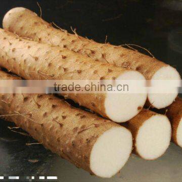 100% China wild yam extract powder with best price