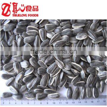 Stripe Sunflower Seeds