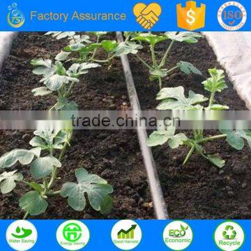 PE material drip irrigation pipe as the agriculture irrigation hose for automatic irrigation system