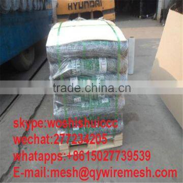 Cheap Window Screen One Way Fiberglass Window Screen Fiberglass Mosquito Netting in Roll photo-6