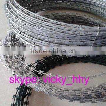 Powder coated and galvanized concertina razor wire anping factory