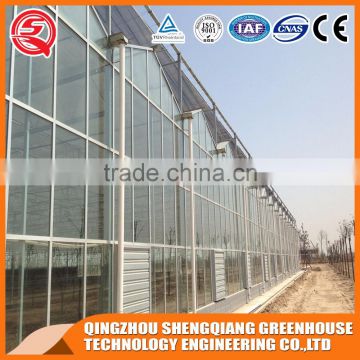 Vegetables product glass greenhouse with cooling system