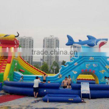 PVC Material for Inflatable Bag photo-6