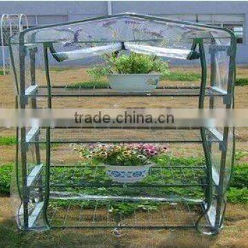 Tomato growing Greenhouse