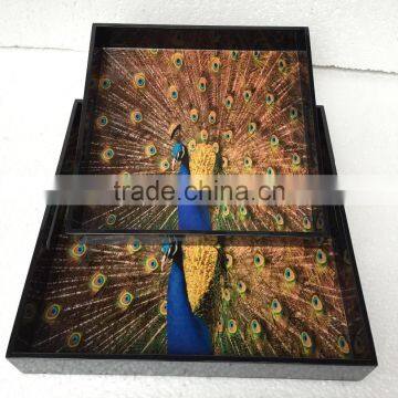 High quality best selling Acrylic peacock lacquered serving Square Tray from Vietnam