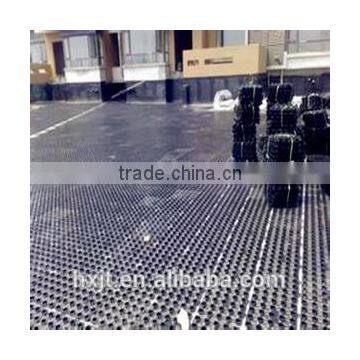 Heavy-Duty High Flow Wall Drainage System for Irrigated Green Rooftops HDPE Waterproofing Drain Board photo-4