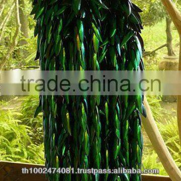 Beetle Wings 2014 Hot Sale Beetle Wings Brooches photo-4