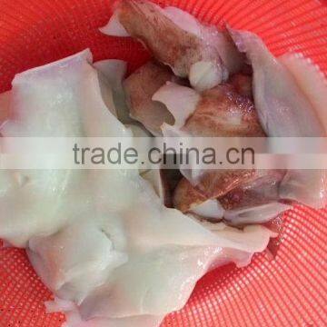 Frozen Giant Squid Neck photo-4