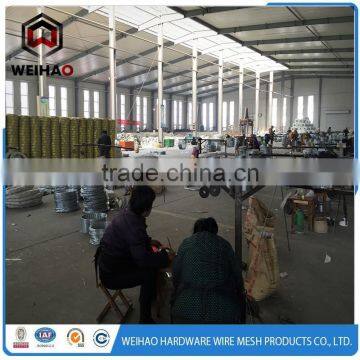 Cheap Double Twist Steel 14 Gauge Galvanized Spike Wire photo-6