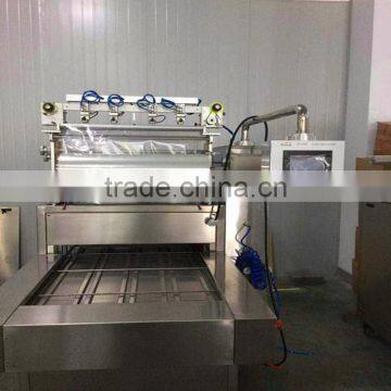 Automatic Modified Atmosphere Packing Machine photo-4