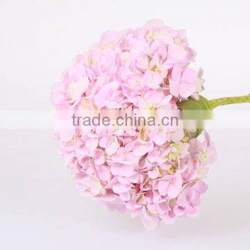 Wedding Flower Best Quality Hot Sale Fresh Cut Hydrangea Wholesale From YUNNAN