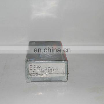 XY120P43 PW2000 plunger P13 Weifu Fuel plunger element U463