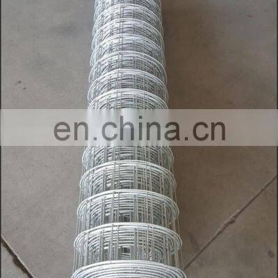 XINHAI 10 Gauge Hot Dipped Galvanized Welded Wire Mesh Price photo-4
