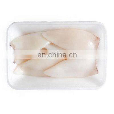 frozen squid tube illex squid tube price