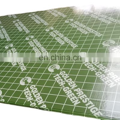 Shandong plywood  green pp plywood