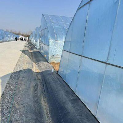 6 Mil Transparent UV Protection Greenhouse Film Vegetable Flower Protection Rain Proof Cover Poly Sheeting