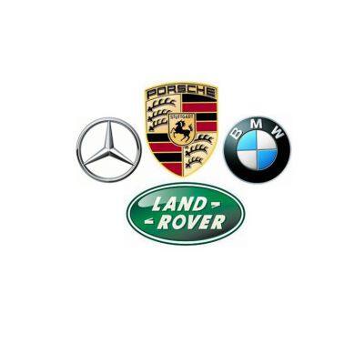 Foshan Luzhengjie Auto Parts Co., Ltd.