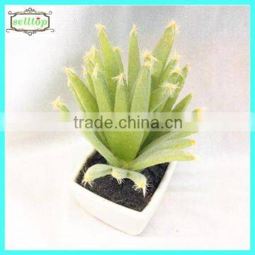 10cm new design hot sale cactus mini bonsai