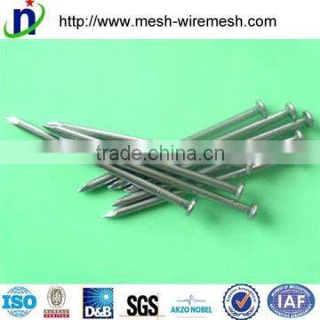 China Factory Common Nails/square Boat Nails/roofing Nails photo-5