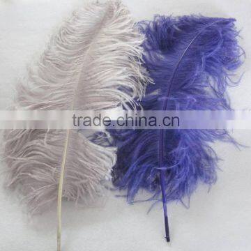 Wholesale and dyed ostrich feather