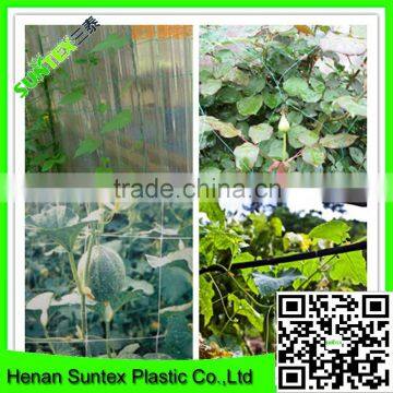 Strong Durable Pro-Net Plant Support Scrog Net GrowTent Mesh Netting photo-2