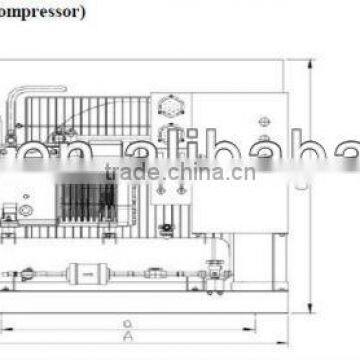 Refrigeration Cold Room Condensing Unit with Low Noise (FNS Series)