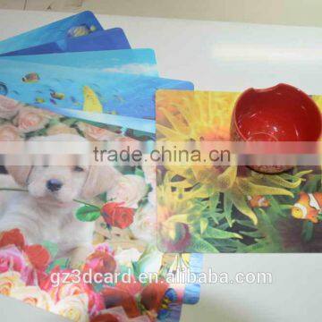 Guangzhou Lifeng 3D Place Mat With Lenticular Effect photo-2