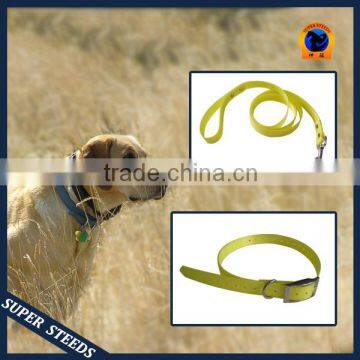 Fluo yellow dog collar for new hunting season