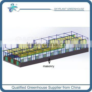 Sp-V-96-P Venlo Plastic Film Span Greenhouse photo-3