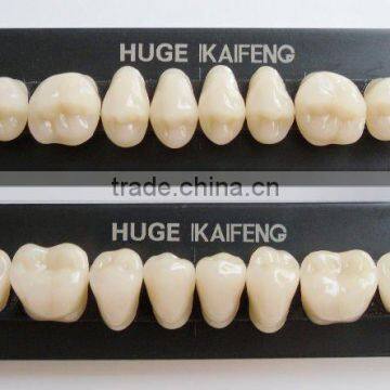 dental acrylic resin teeth